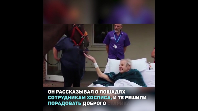 Последний Секс Перед Смертью Последний Секс Перед Смертью